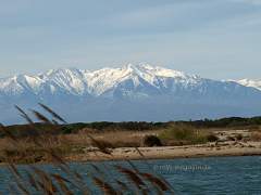 Mediterrane Landschaft