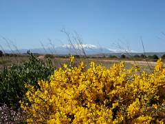 Mediterrane Landschaft