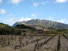 Mediterrane Landschaft
