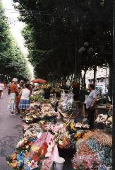 Blumenmarkt