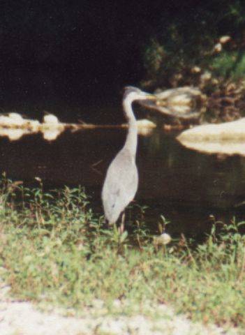 Hier hat es uns gefallen!