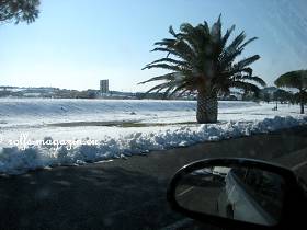 9.März 15h20' - Palmen im Schnee sieht man nicht sehr oft.